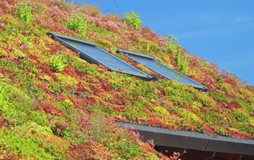 Lofthouse living roof systems